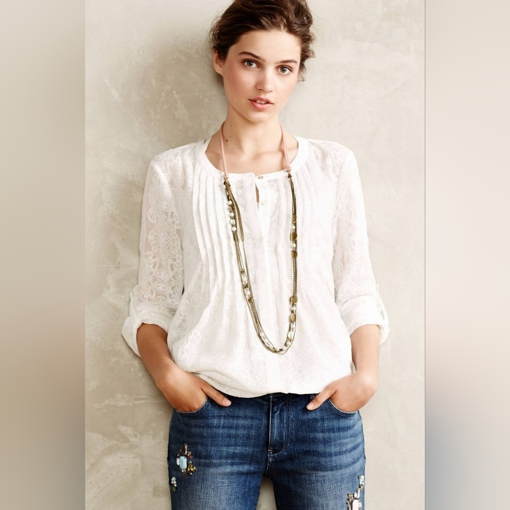 Meadow Rue Anthropologie Willow Garden Pin Tuck Embroidered Sheer Blouse In S